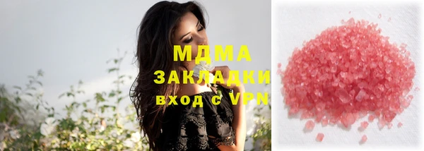 бошки Пересвет