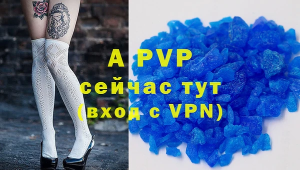 бошки Пересвет