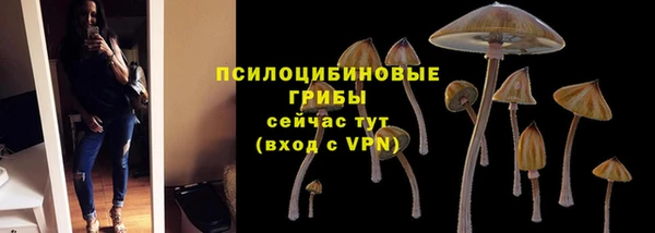 бошки Пересвет