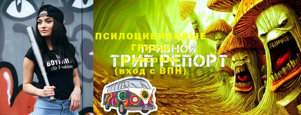 бошки Пересвет