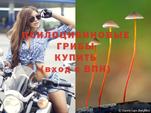MDMA Пестово