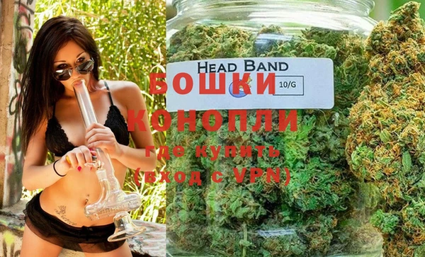 бошки Пересвет