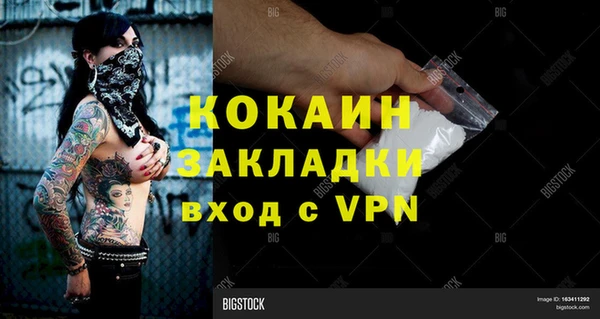 бошки Пересвет