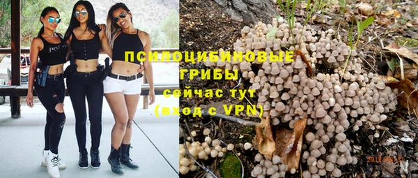 бошки Пересвет